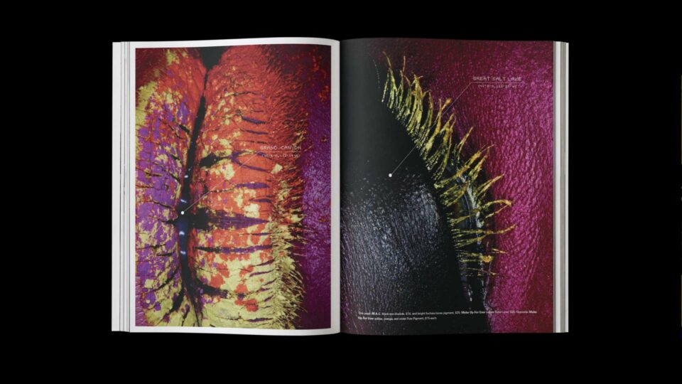 Close-up photographs of a model's eye with gold leaf makeup and feather details, reminiscent of aerial views in Google Earth, from the "Satellite of Love" beauty editorial in City Magazine, photographed by Thomas Rusch with makeup by Loni Baur and creative direction by Fabrice Frere of PlanetFab.